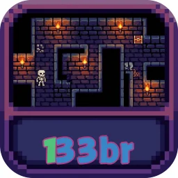 133br